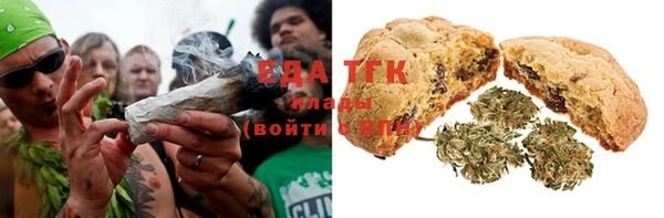 прущие грибы Алзамай