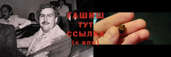 прущие грибы Алзамай