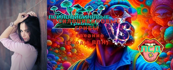 хмурый Алексин