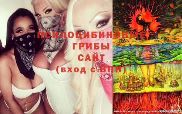 apvp Алексеевка