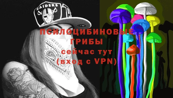 хмурый Алексин