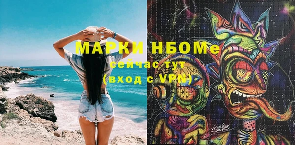 хмурый Алексин