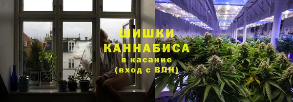 прущие грибы Алзамай