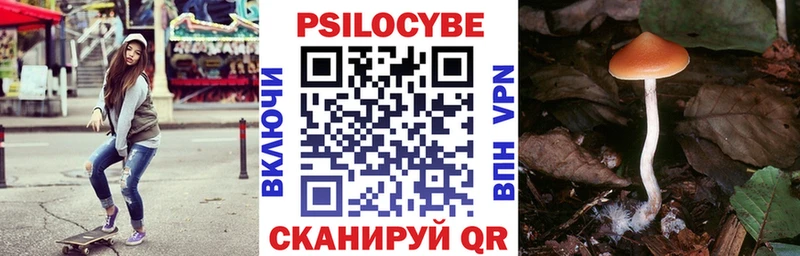 МЕГА зеркало  Мензелинск  Галлюциногенные грибы Magic Shrooms 